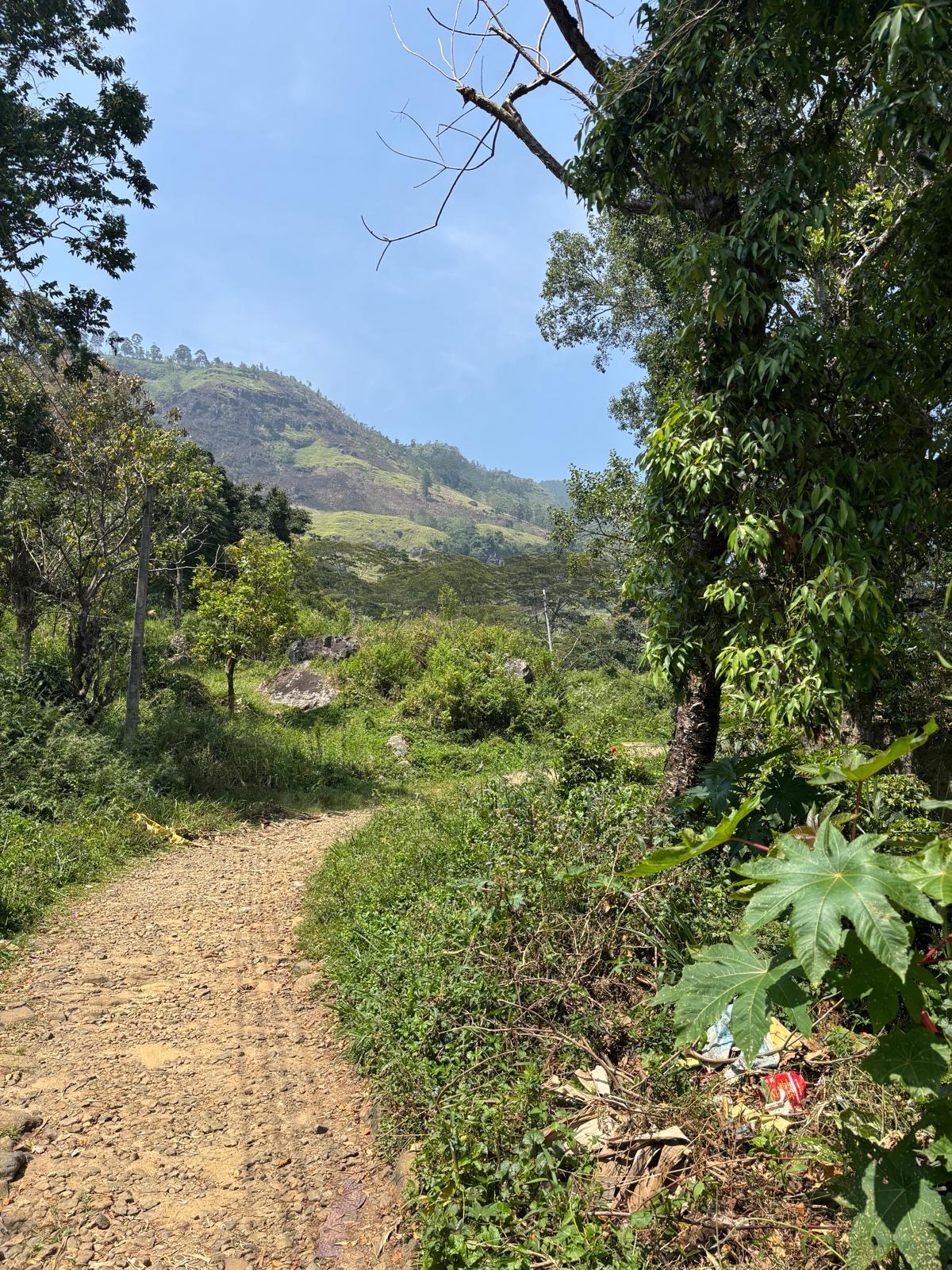 Sri Lanka – Schule